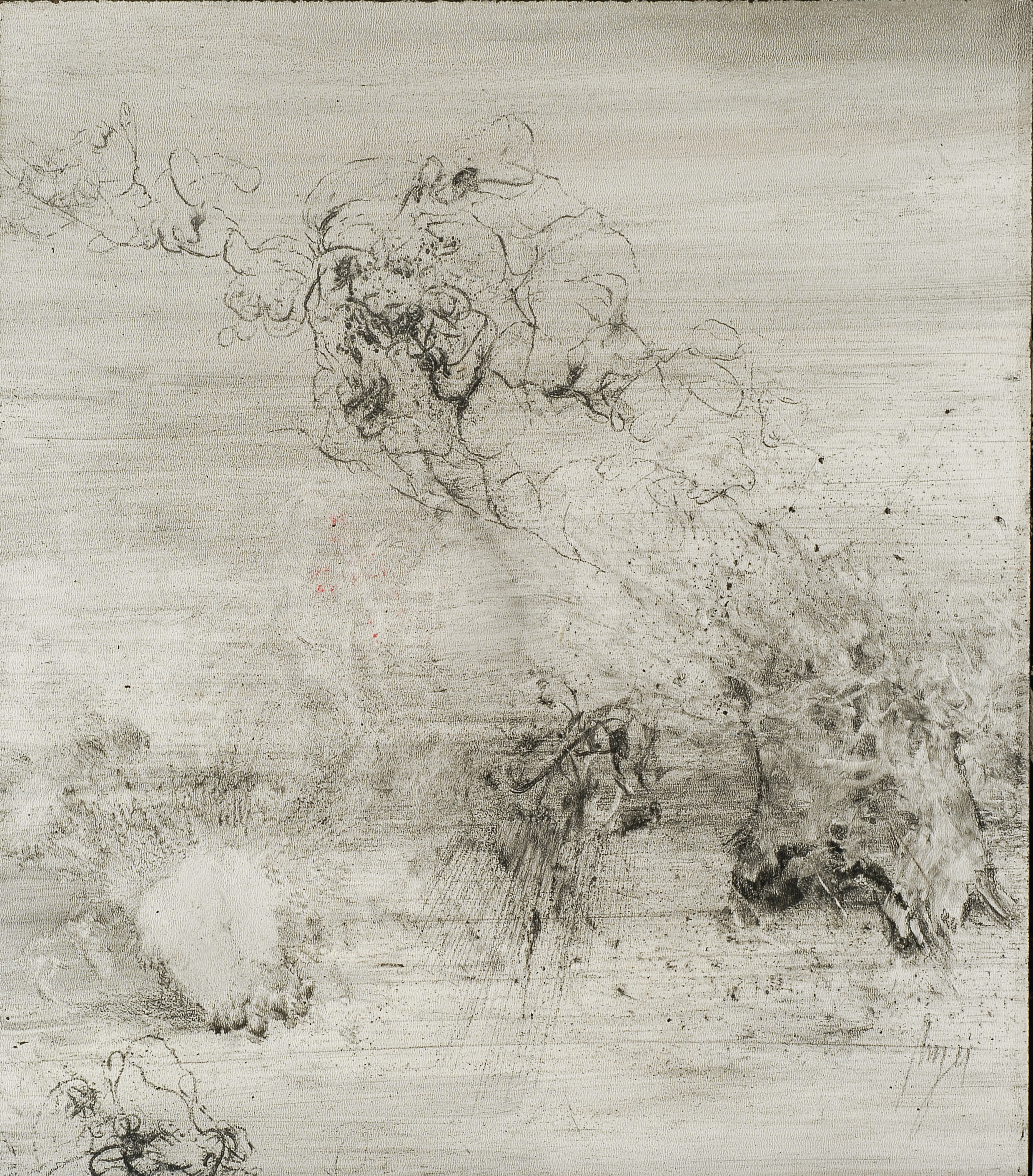 Lamento d'albero che si spezza, 2019